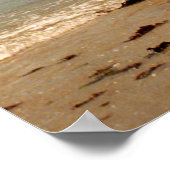 Poster Apprendre à naviguer un catamaran Hobie (Coin)