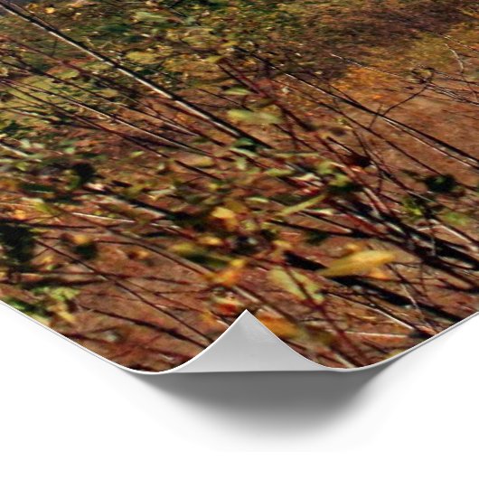 Poster Apprendre des échecs (Coin)