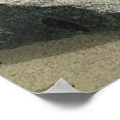 Poster Approche de Kings Canyon (Coin)