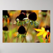 Poster Approches d'automne (Devant)