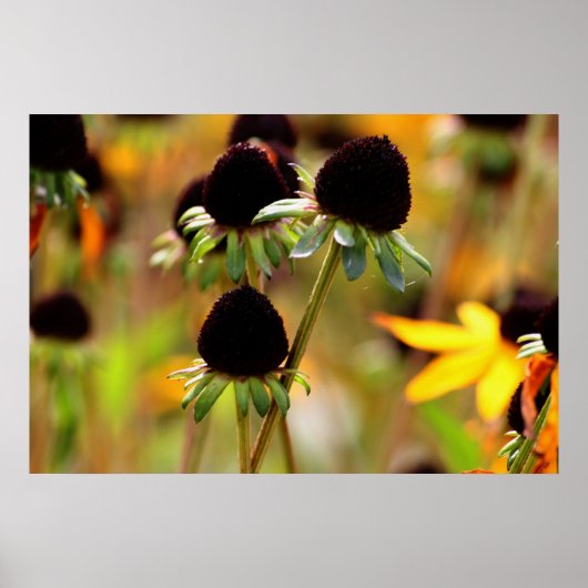 Poster Approches d'automne (Devant)