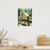 Poster Appy the Horse (Cuisine)