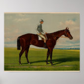 Poster Après HENRY STULL, Un cheval alezan, (Devant)