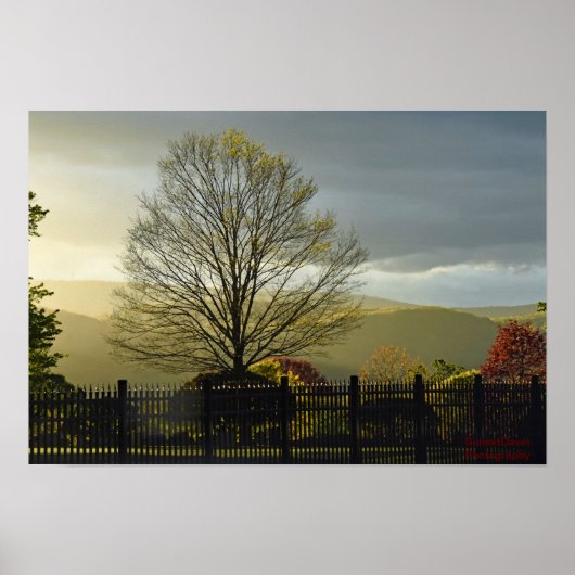 Poster Après la pluie (Devant)