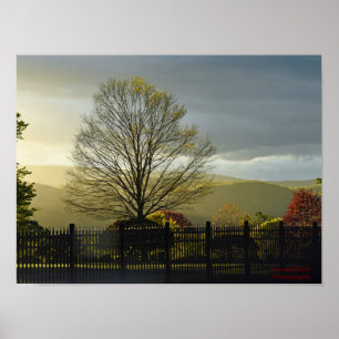 Poster Après la pluie