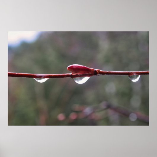 Poster Après la pluie (Devant)