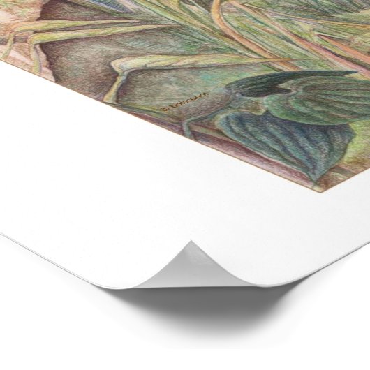 Poster Après la pluie © 2010 (Coin)