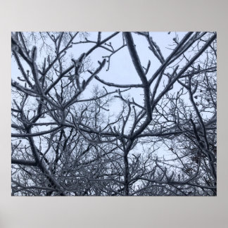 Poster Après La Tempête De Glace