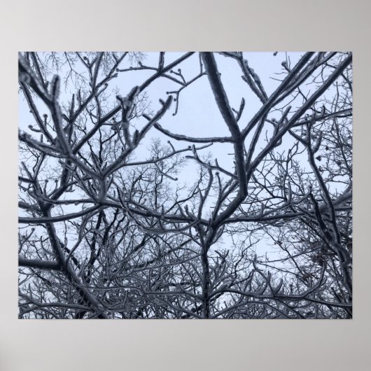 Poster Après La Tempête De Glace (Devant)