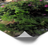 Poster Après la tempête de pluie - imprimer (Coin)