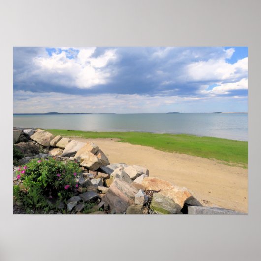Poster Après la tempête de pluie - imprimer (Devant)