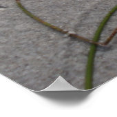 Poster Après-midi (Coin)