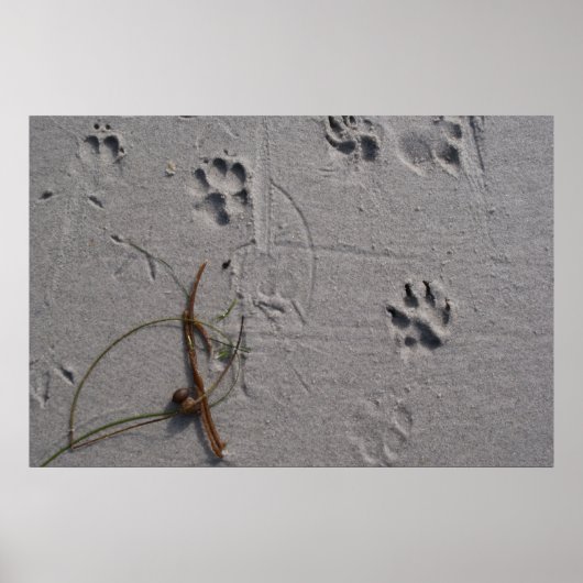 Poster Après-midi (Devant)