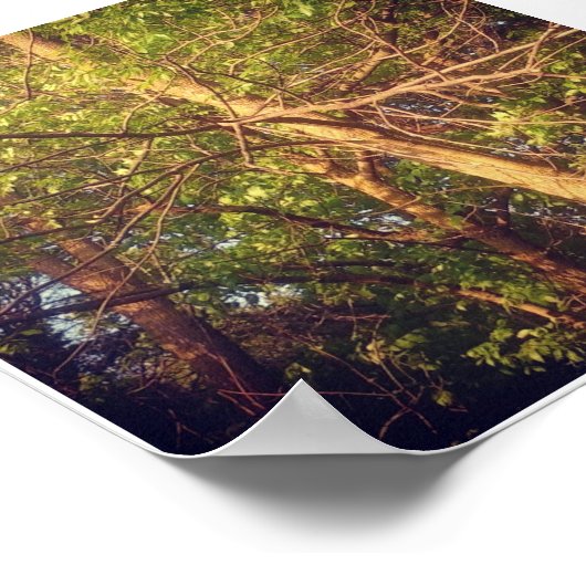 Poster Après-midi (Coin)