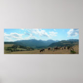 Poster Après-midi à Sweegrass (Devant)