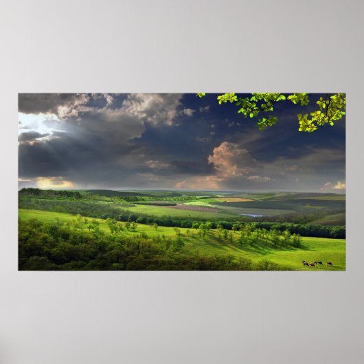 Poster Après-midi calme (Devant)