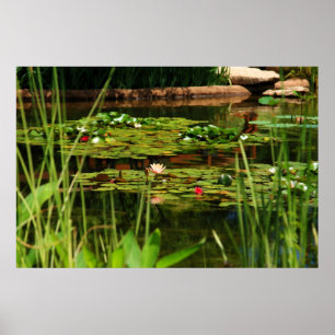 Poster Après-midi idyllique