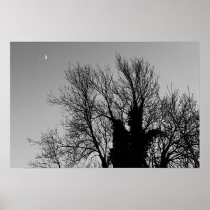 Poster Après-midi médiéval d'hiver