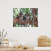 Poster Après-midi Repos (Cuisine)