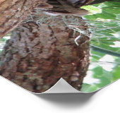 Poster Après-midi Repos (Coin)