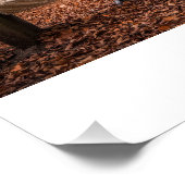 Poster Après Tout Ce Temps...Toujours (Coin)