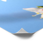 Poster Apricot (Coin)