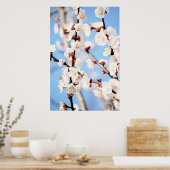 Poster Apricot (Cuisine)