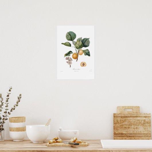 Poster Apricot blanc (Cuisine)