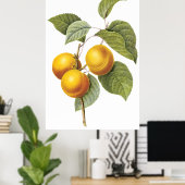 Poster Apricot Peach (Bureau à domicile)