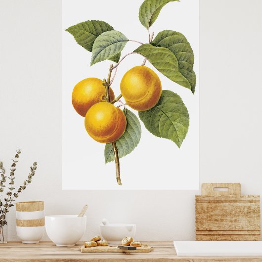 Poster Apricot Peach (Cuisine)
