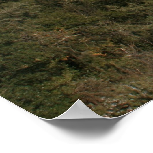 Poster Aquaduc romain (Coin)