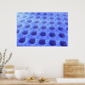 Poster Aquafun (Cuisine)