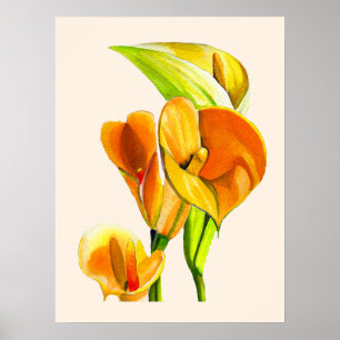 Poster Aquarelle à fleurs de calla