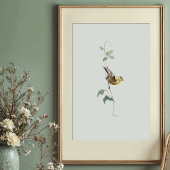 Poster Aquarelle américaine dynamique Goldfinch Art