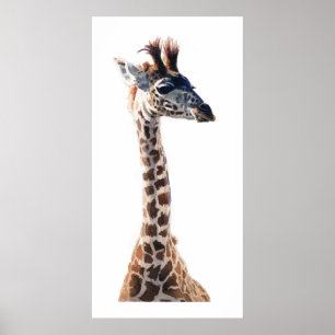 Poster Aquarelle animalière animalière "Little Giraffe"