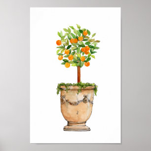 Poster Aquarelle Arbre orange topiaire en urne antique
