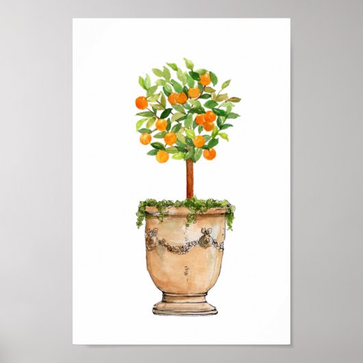Poster Aquarelle Arbre orange topiaire en urne antique (Devant)