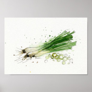 Poster Aquarelle, art végétal de cuisine de poireaux