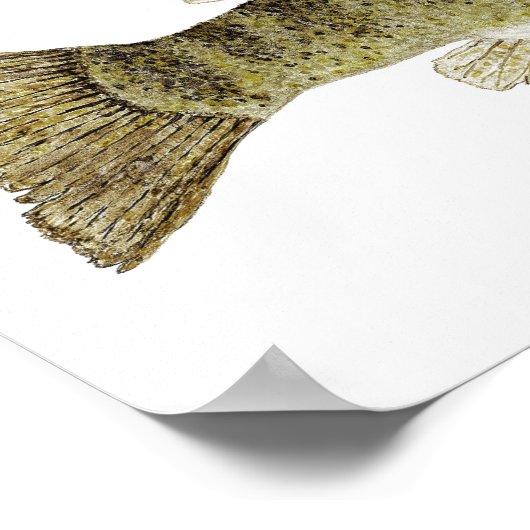 Poster Aquarelle basse petite bouche (Coin)