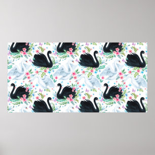 Poster Aquarelle blanc et noir lac de cygne transparent p