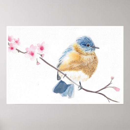 Poster Aquarelle bleu sur une branche de fleur de cerisie (Devant)