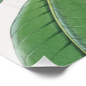 Poster Aquarelle Botanique Blanc Magnolia & Feuilles vert (Coin)