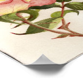 Poster Aquarelle botanique de fleur rose de pêche et de p (Coin)