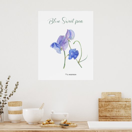 Poster Aquarelle botanique de fleurs douces bleues (Cuisine)
