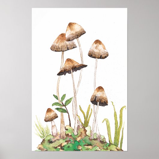 Poster Aquarelle Brown de champignons forestiers (Devant)