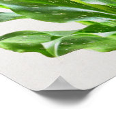 Poster Aquarelle Calla Lily Fleurs Bible Verse Art (Coin)