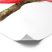 Poster Aquarelle cardinale (Coin)