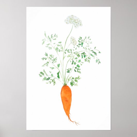 Poster aquarelle carotte orange (Devant)
