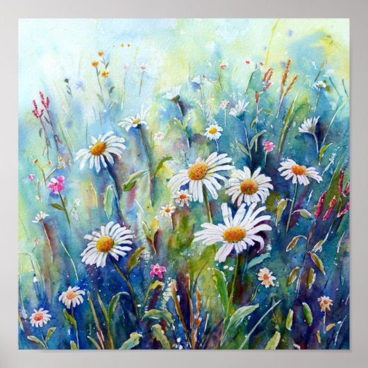 Poster Aquarelle - Champ de marguerite (Devant)