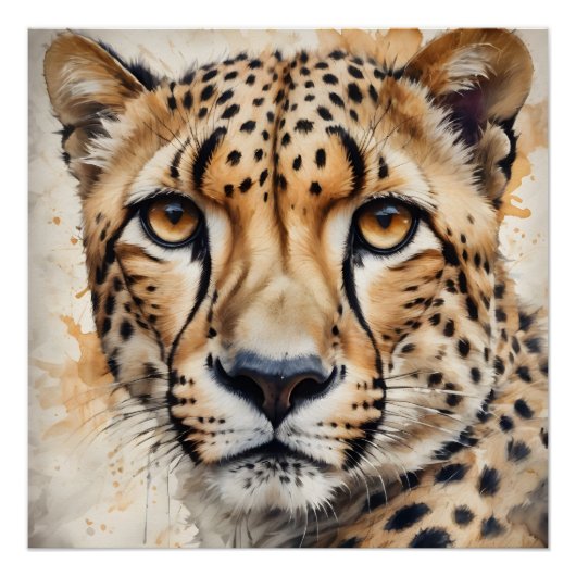 Poster Aquarelle Cheetah no 6 (Devant)